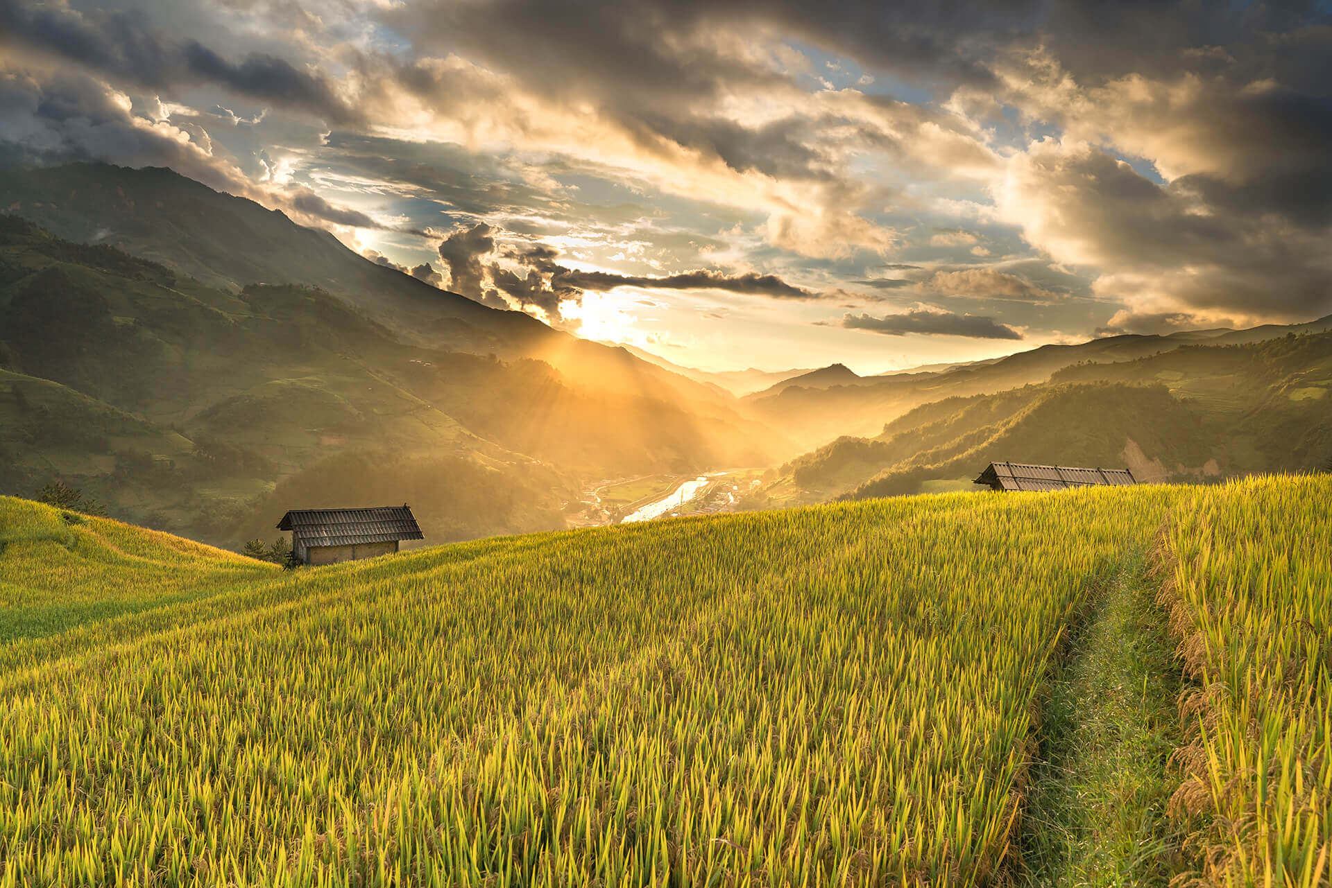 Natural resources and agriculture background