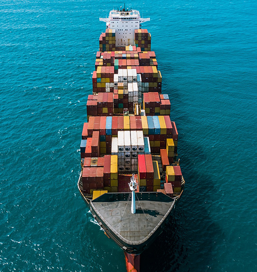 Prime Gate company team and operations