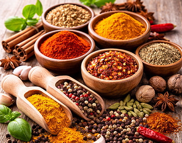 Premium spices and seasonings collection